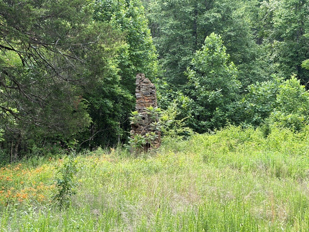 Picture 23