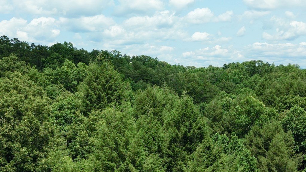 Picture 31