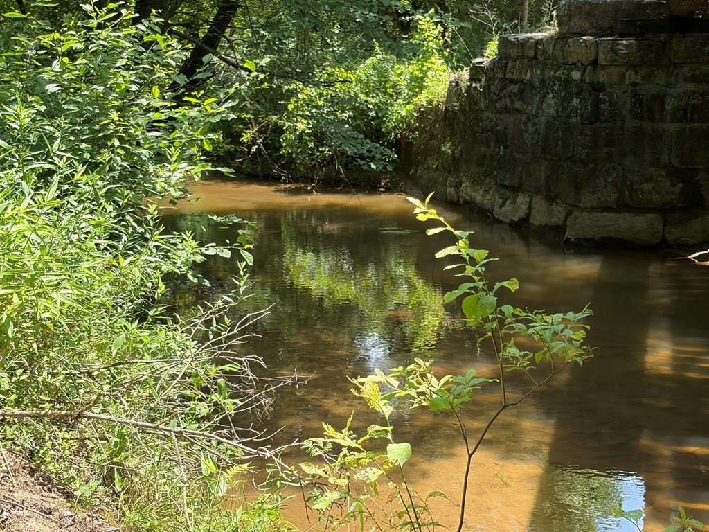 Picture 25