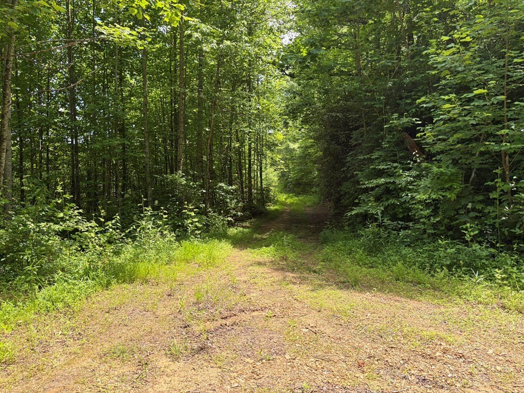 Picture 17