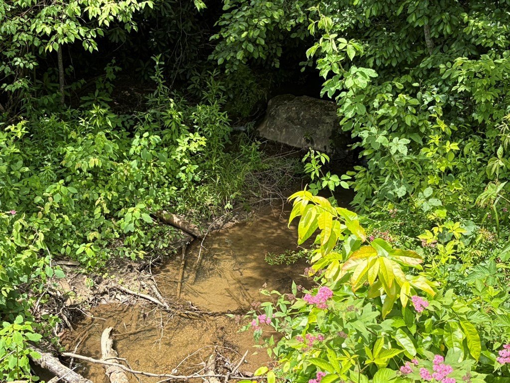 Picture 43