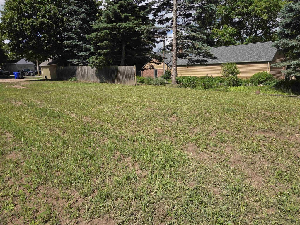 Picture 3
