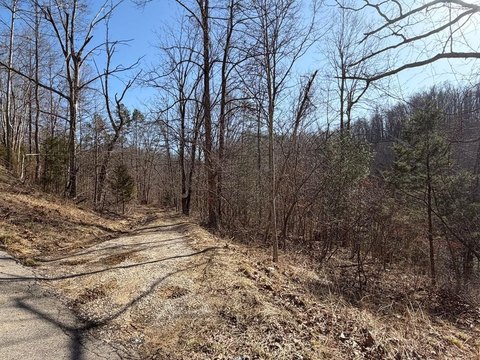 Unrestricted Wooded Land with Minerals