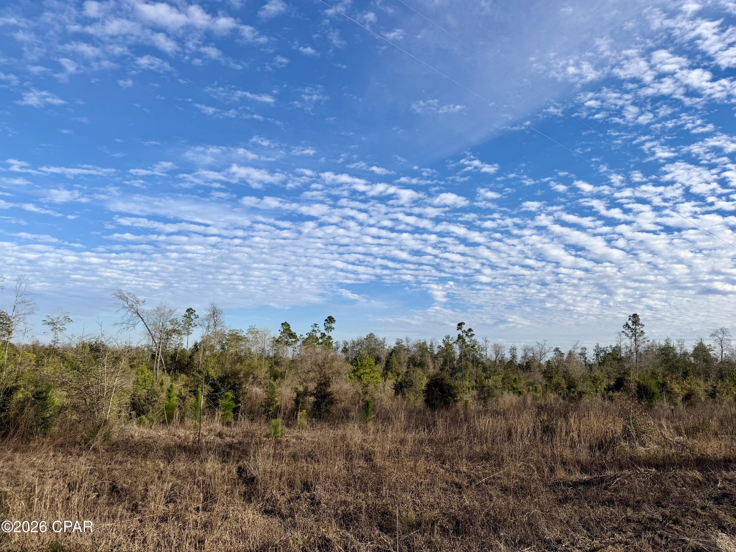 25 Acres of Land, Marianna