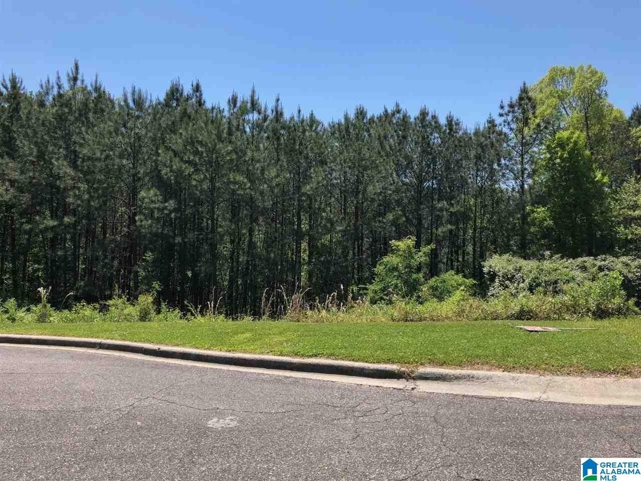 HOOVER, AL Basement Lot
