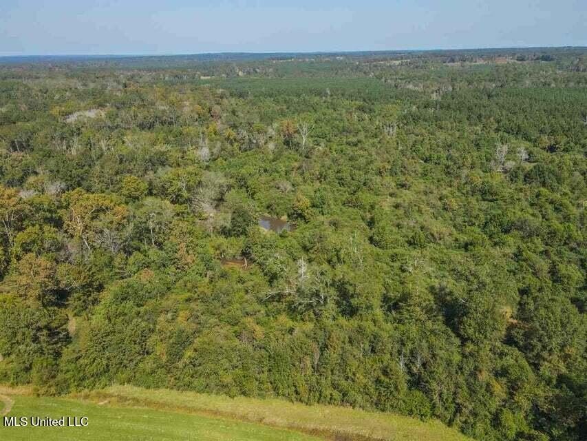 266 Acres of Timberland