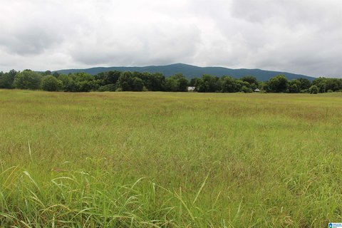 LAND - PIEDMONT, AL