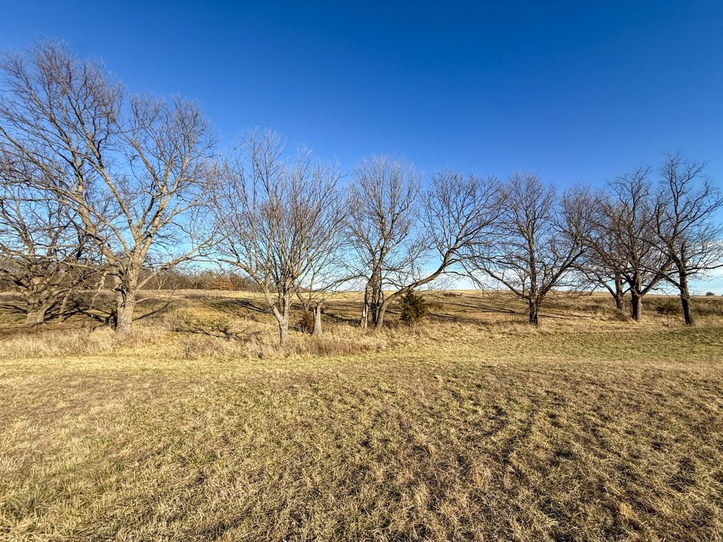 Picture 25
