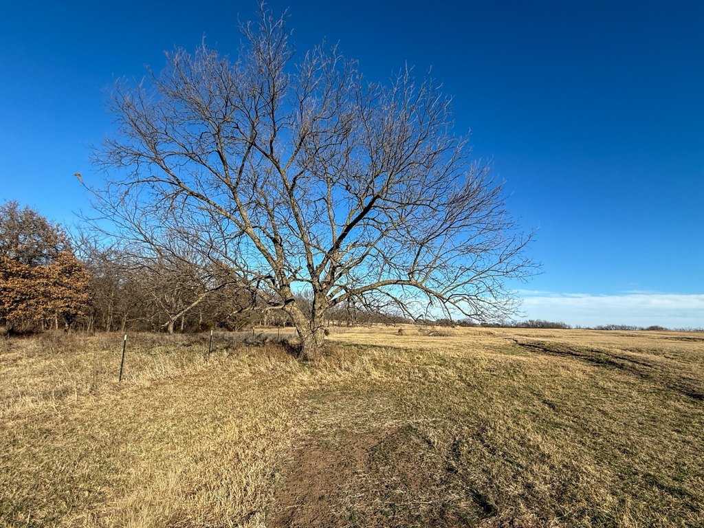 Picture 24