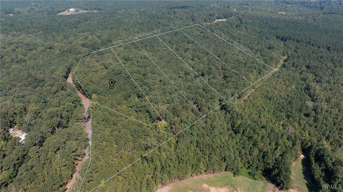 Land Parcel in Gordo, AL