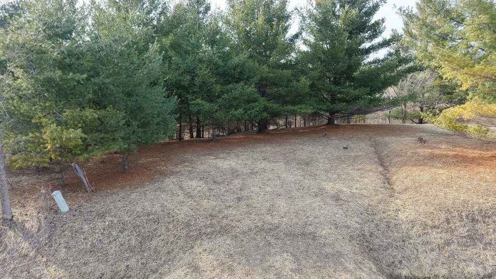 Picture 4