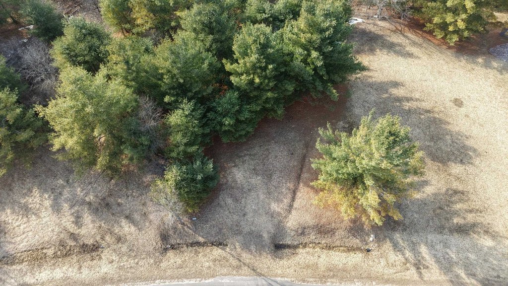 Picture 2