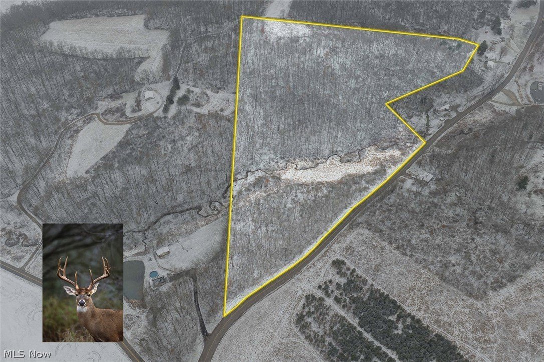 21 Acres of Wooded Land