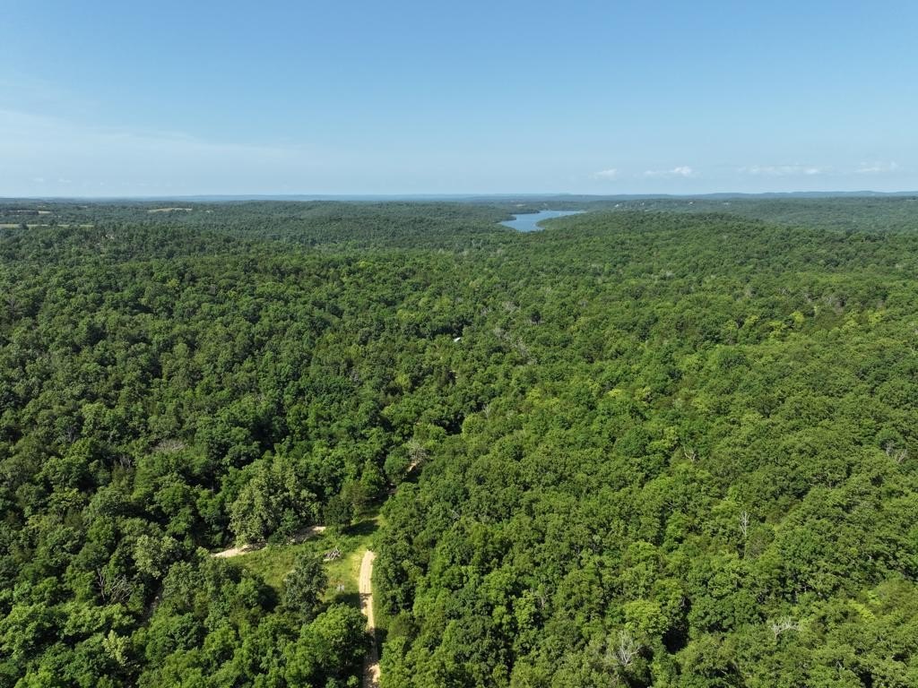 40 Acres Near Bull Shoals Lake