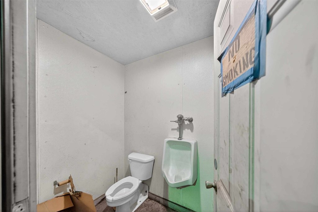 Picture 19