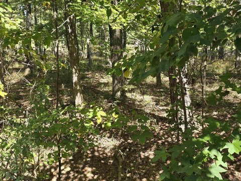 Residential Land in Hot Springs