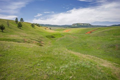 113 Acres Vacant Land
