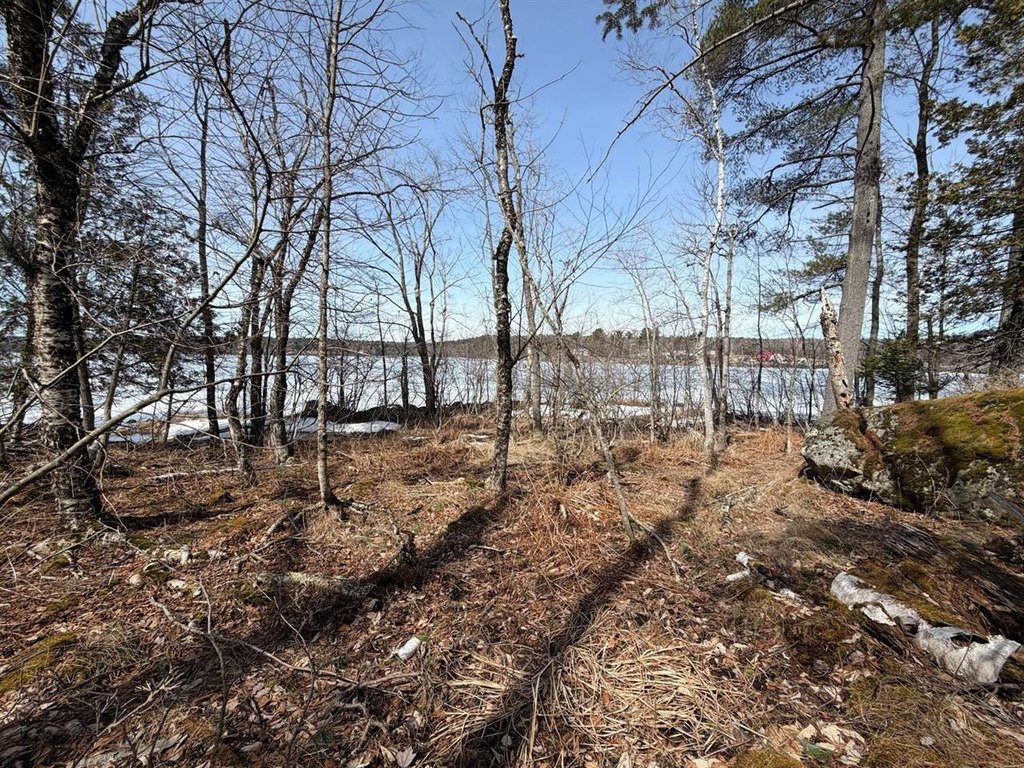 Picture 21