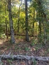 Bella Vista Land Opportunity