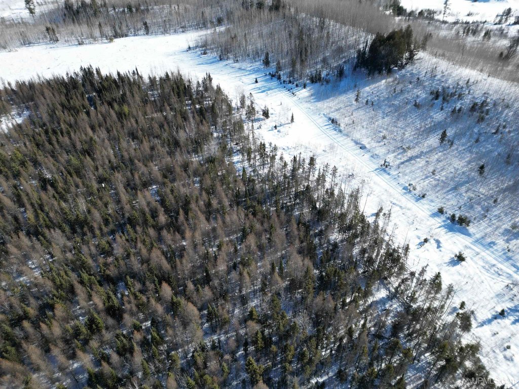 Picture 4