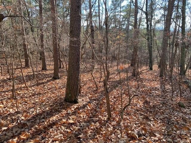 Jasper, GA Land with Views