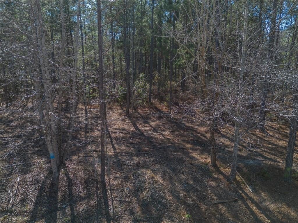 Picture 8