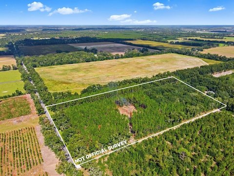 15.5 Acres in Gilchrist County