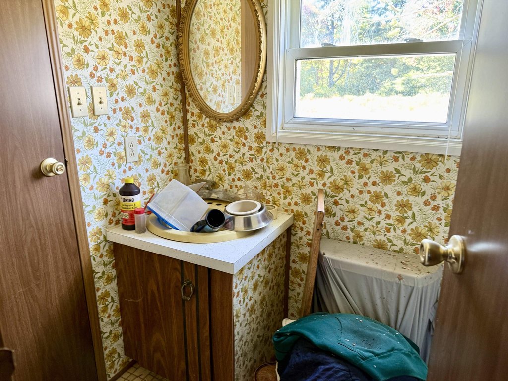 Picture 16