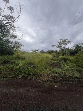 Level Agricultural Land
