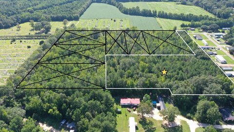 Wooded Land Parcel Near Atmore