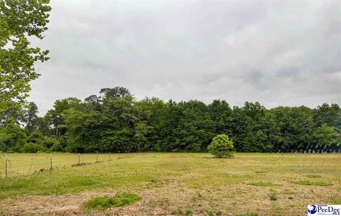 LAND - Latta, SC