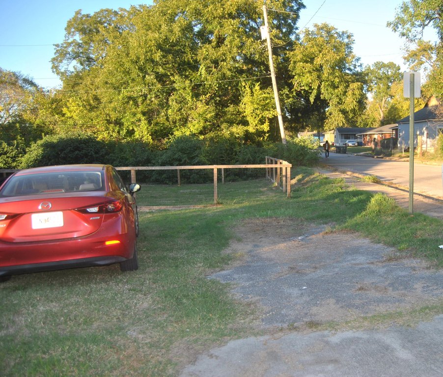 Picture 3