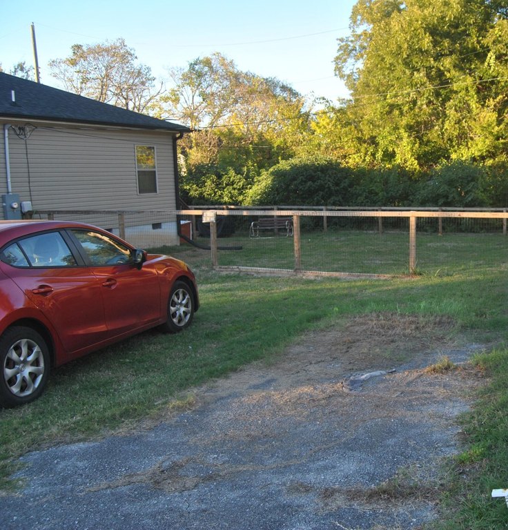 Picture 4