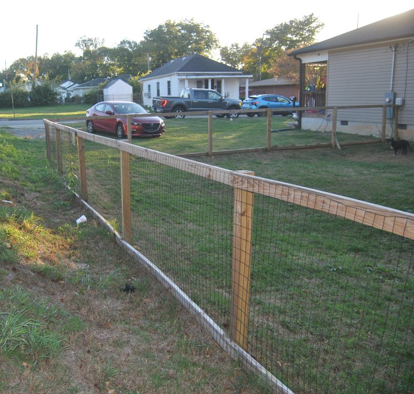 Picture 6
