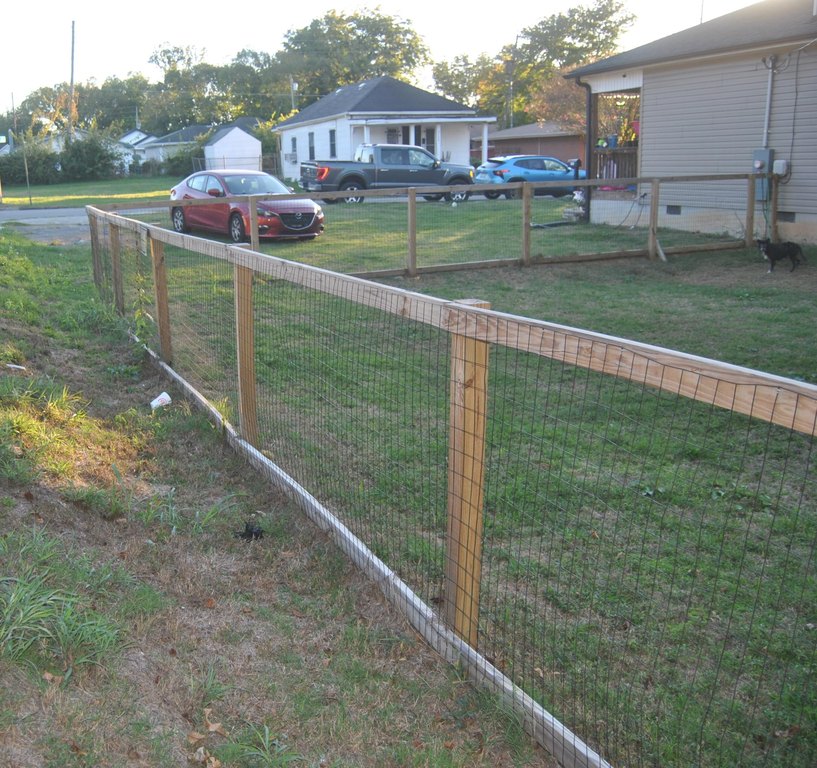 Picture 5