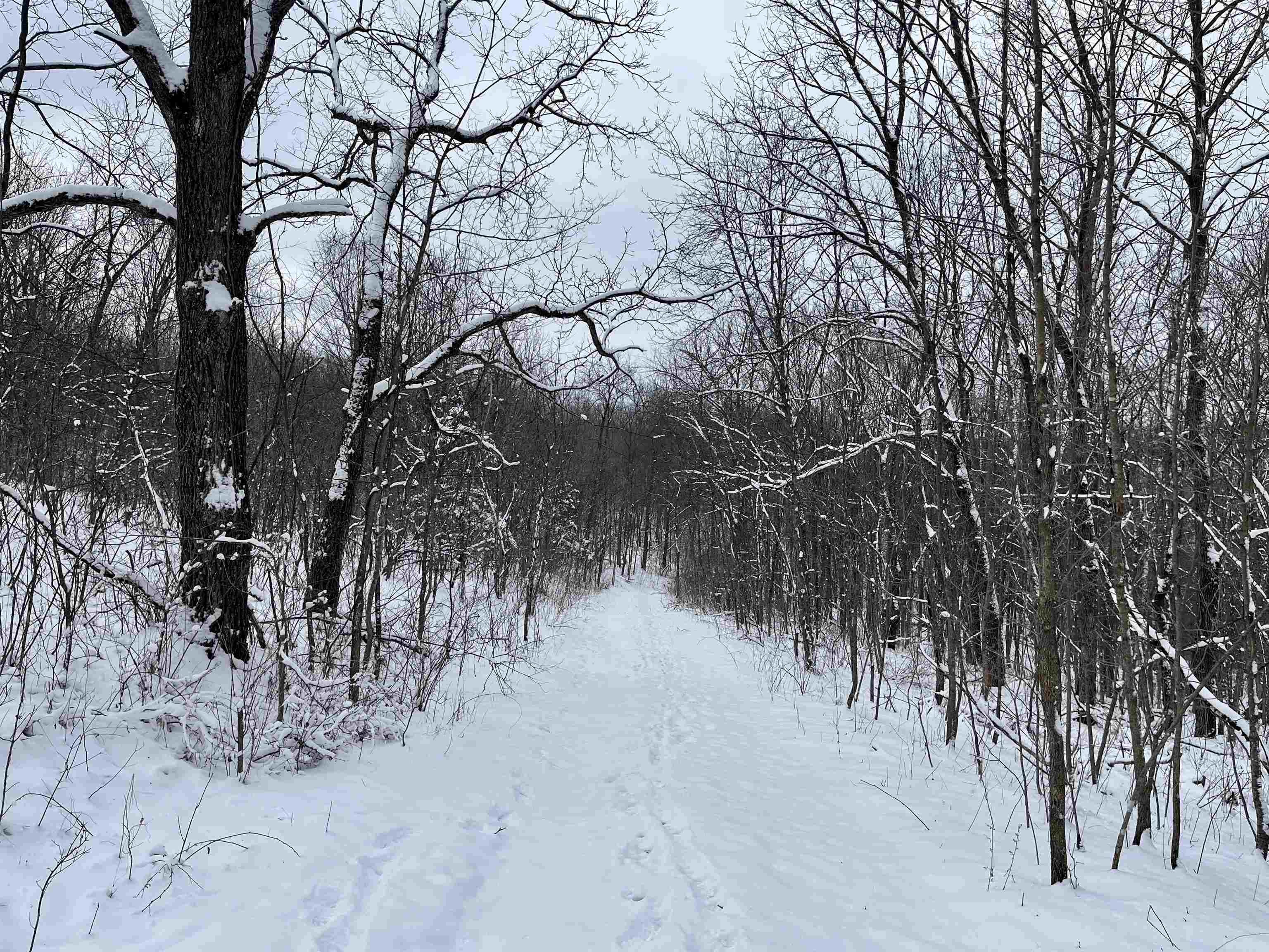Boscobel Hunting Land For Sale