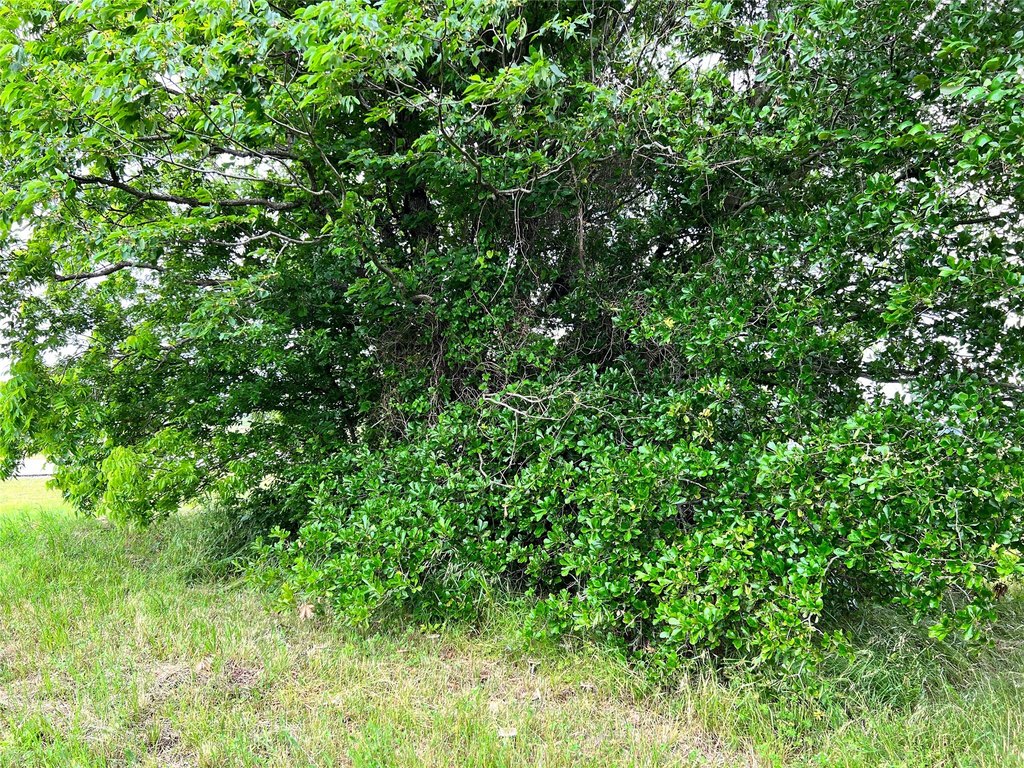 Picture 22