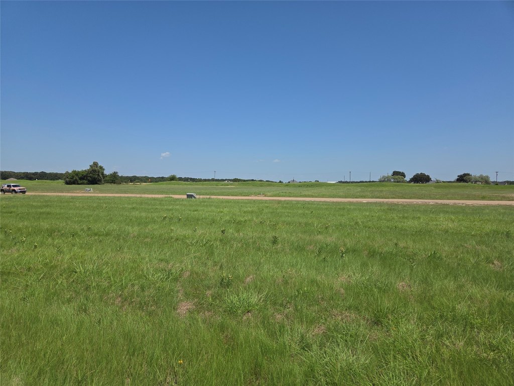 Picture 21