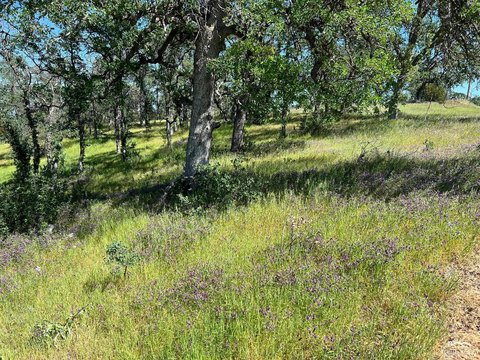 Rural Lot in Corning, CA