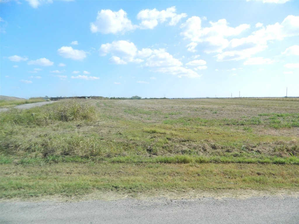 Picture 5