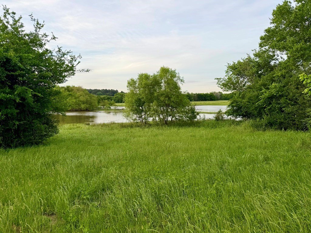 Picture 4
