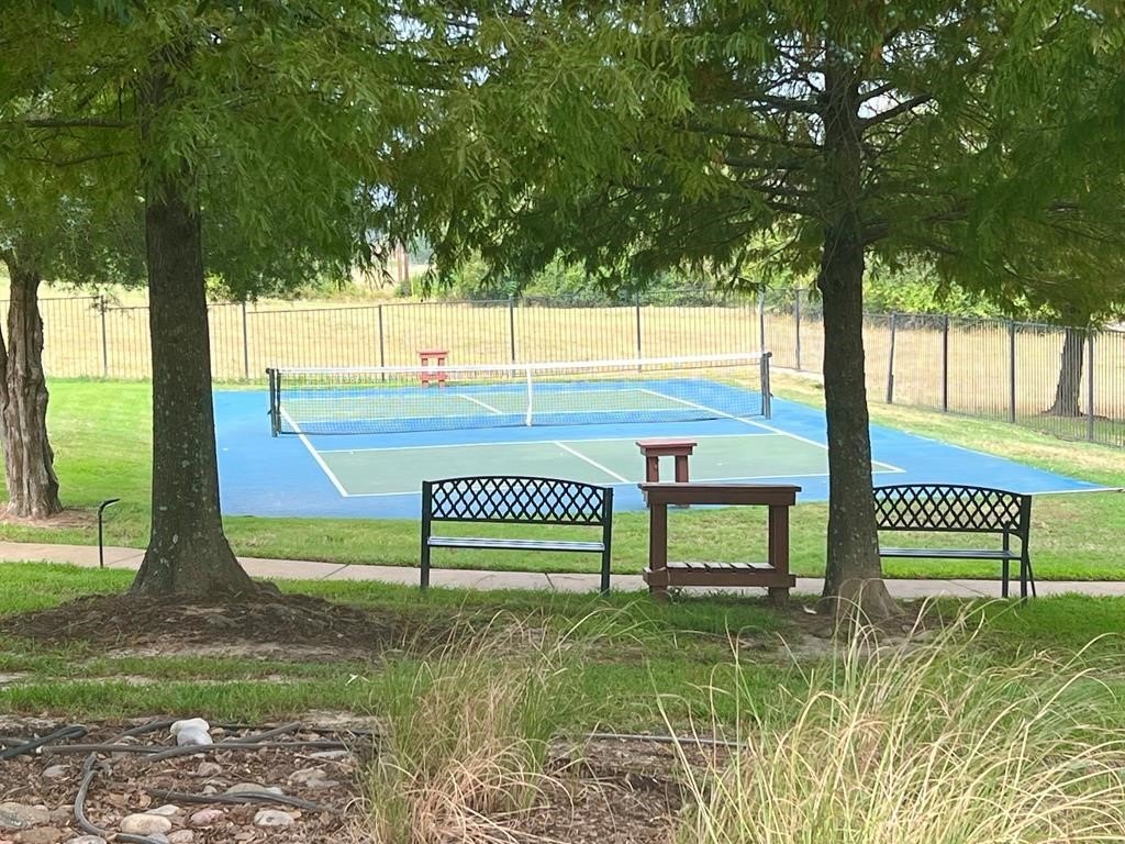 Picture 15