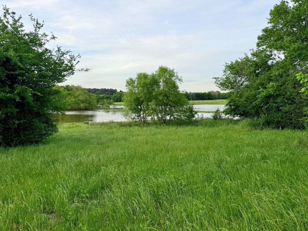 Picture 8