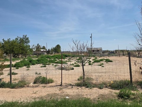 Land, Pecos, TX