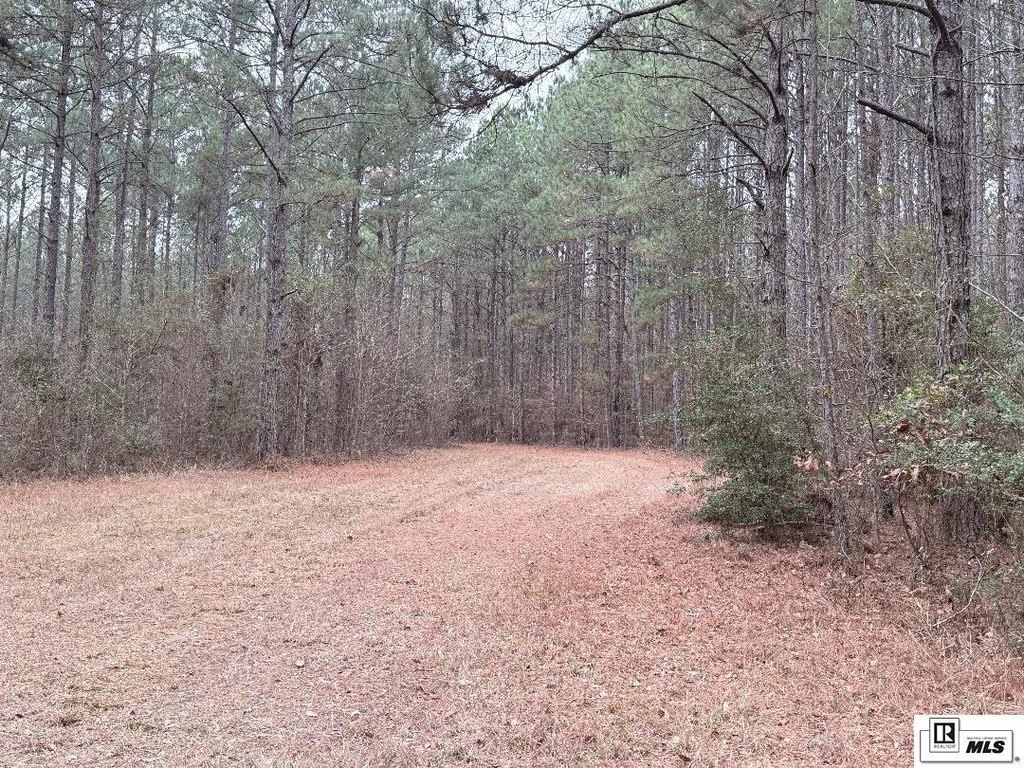 Picture 4