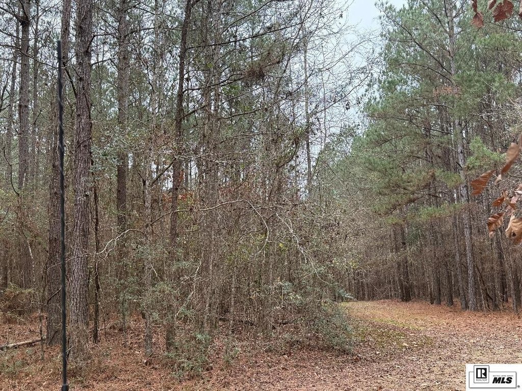 Picture 3