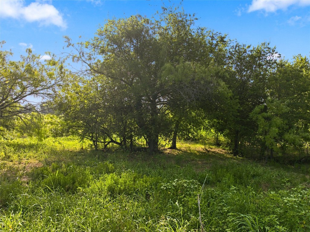 Picture 18
