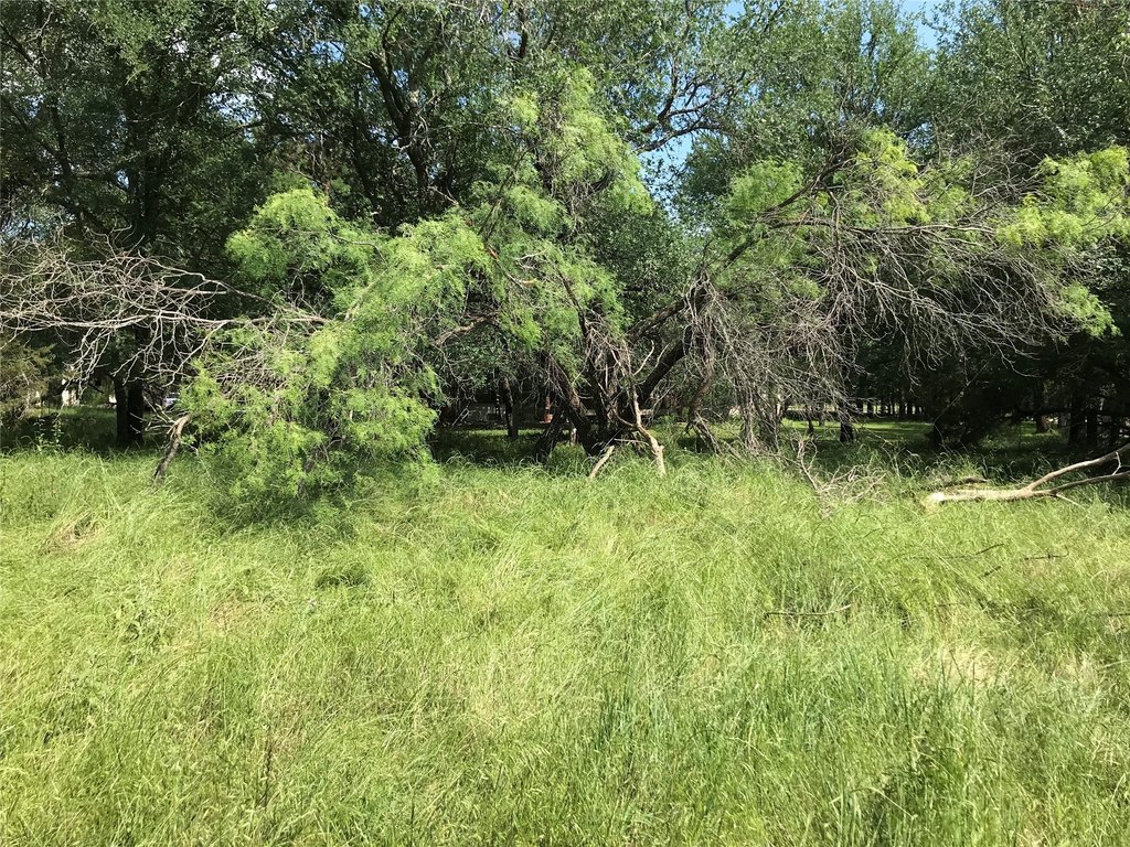 Picture 26