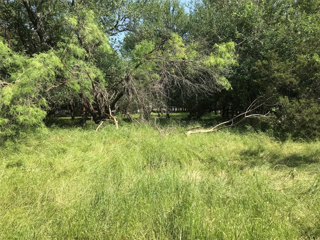 Picture 27