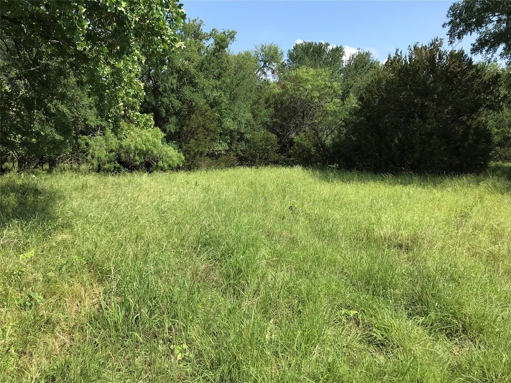 Picture 18